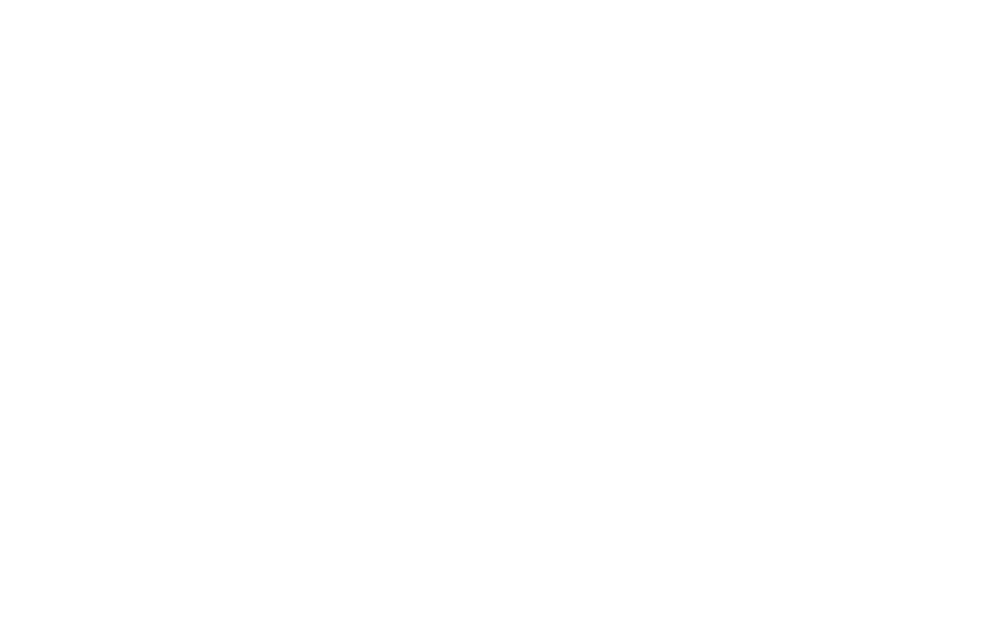 new collection launch event